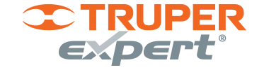 Expert